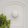 Hollis Shine Brass & Frosted White Wall Light