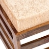 Houston Sheesham Wood Contemporary Set of 2 Stools in Beige Sparkle Velvet, Teak Finish