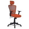 Dreaceo High Back Ergonomic Chair in Orange Colour