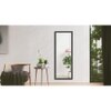 Decorative Mirror and wall Mirror