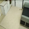 Alton Carpet Size 7.7x5.2 ft.