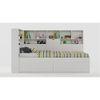 Megatron Engineered Wood Box Storage Bed in White Colour