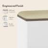 Baltoro Engineered Wood Shoe Rack with Seating in White Finish