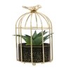 Aloe Vera Plant In Ceramic Pot With Attractive Bird Cage