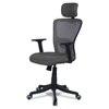 Dreaceo High Back Ergonomic Chair in Grey Colour