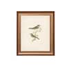 Artistry Brown Greenbirds Frame Canvas Wall Prints Canvas Wall Prints Set of 1 Multicolor Matte