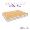 Super Contour ISP Tech. High Tensile Queen Size Mattress (78 x 66 in, 10 Inches)