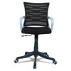 Xxeana Mid Back Ergonomic Chair in Black Colour
