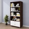Lasker Bookcase Wenge And Frosty White