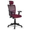 Jeaorda High Back Ergonomic Chair in Maroon Colour