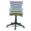 Xxeana Mid Back Ergonomic Chair in Pearl Green Colour