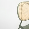 Mantis Veneer Dining Chair in Green Colour
