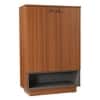 Footra Engineered Wood Shoe Rack in Walnut Finish