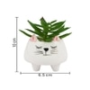 Whisker Cat Ceramic Planter