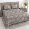 Eira Beige Floral 400 TC Cotton Flat Queen Size Bedsheet with 2 Pillow Covers – Threads
