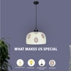 Ornamental Glass Electric Ceiling Light in White Colour