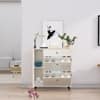 Hexa Red Engineered Wood Shoe Rack in Frosty White Colour