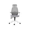 Wave Ergonomic Office Chair in Grey Colour