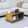 Hexa Engineered Wood Coffee Table With Storage And Open Rack In Slate Grey And Giant Wood