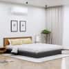 Hexa Engineered Wood Modern Queen Bed With Headboard Without Storage In Slate Grey And Giant Wood