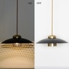 Arvin Black Metal Hanging Light