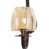 Eliante Modern Wall Lights Mild Steel & Glass Material Brown & Champaign Finish