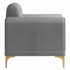 Josbert Velvet 1 Seater Sofa In Grey Colour