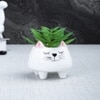 Whisker Cat Ceramic Planter