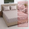 Vine Shade Floral Cotton 400 Tc Fitted Double King Size Bedsheet With 2 Pillow Covers