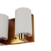 Eliante Modern Wall Lights Mild Steel & Glass Material Antique Gold & White Finish