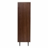 Scandinavian Hutto Multifunctional Cabinet Walnut Finish
