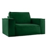 Skult  Pull Out Sofa cum Bed  in Green Colour