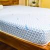 Biolife 7-Zone Latex With Talalay Tech (75 x 60 in, 5 Inches)