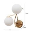 Eliante Modern Wall Lights Mild Steel & Glass Material Gold & White Finish