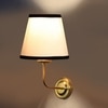 Devansh Metal Electric Wall Light in Gold Colour with Multi Shade Count of 1 Light