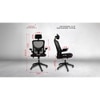 Insignia Study Chair
