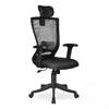 Werner Study Chair in Black Colour