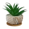 Artificial Fern Plant In A Patterned Ceramic Pot With A Wooden Plate