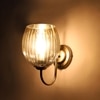 Devansh Steel Electric Wall Light in Steel Colour with Lavender Shade Count of 1 Light