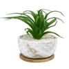 Artificial Fern Plant In A Patterned Ceramic Pot With A Wooden Plate