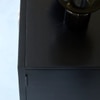 Ziggy Solid wood Cabinet with 2 Door in Black Finish