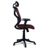 Zeeazyana High Back Ergonomic Chair in Brown Colour