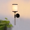 Devansh Metal Electric Wall Light in Black Colour with Multi Shade Count of 1 Light