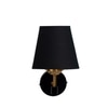 Devansh Metal Electric Wall Light in Black Colour with Black Shade Count of 1 Light