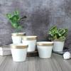 Pot Planter Set Of 5 In White And Gold Colour