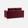 Arab Velvet 2 Seater Sofa Maroon Color