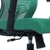 Ebeaony Mid Back Ergonomic Chair in Dark Green Colour