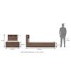 Jasper Engineered Wood Single Size Box Storage Bed In Classic Walnut Finish