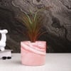 Attractive Faux Plant With Pink Ceramic Pot