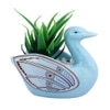Fern Plant Inside An Artistic Blue Swan Ceramic Pot
